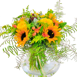 The first impression of this bouquet is a wave of summer radiance-a harmonious gathering of golden sunflowers and soft yellow roses, carefully arranged to capture Epsom's relaxed yet vibrant charm. Sunflowers stand tall and wise in the center, their velvety petals unfurling like rays over local fields. The roses, tightly layered in elegant spirals, contribute gentle fragrance and classic refinement. Against this sunny backdrop, clusters of glossy red Hypericum berries create vivid accent points, while lush greenery-ferns, wispy fillers, and the delicate haze of solidago-cascades outward with dynamic grace. Eucalyptus leaves, dusted in blue-green, weave through the bouquet and hint at a leafy stroll around Epsom's Woodcote Park. The glass vase cradles every stem in crystal clarity, showing off the freshest cut foliage and the cool, clean lines of a contemporary design. Gentle sunlight bathes the composition, heightening every shade and bringing a cheerful energy that would illuminate birthdays, anniversaries, or everyday tables in Epsom homes. This bouquet encapsulates the joy of local nature and the artistry of expert florists, ready to delight those you love.